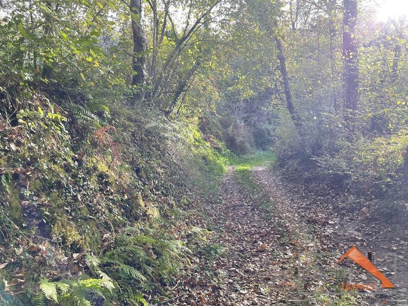 Grange - 70 m² - 1 pièce