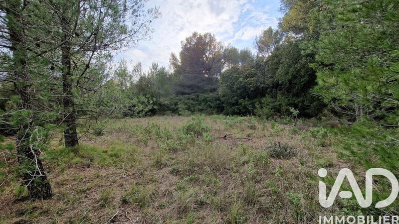 Terrain agricole - 7 260 m²