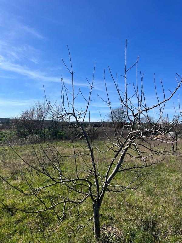 Terrain de loisirs - 2 600 m²