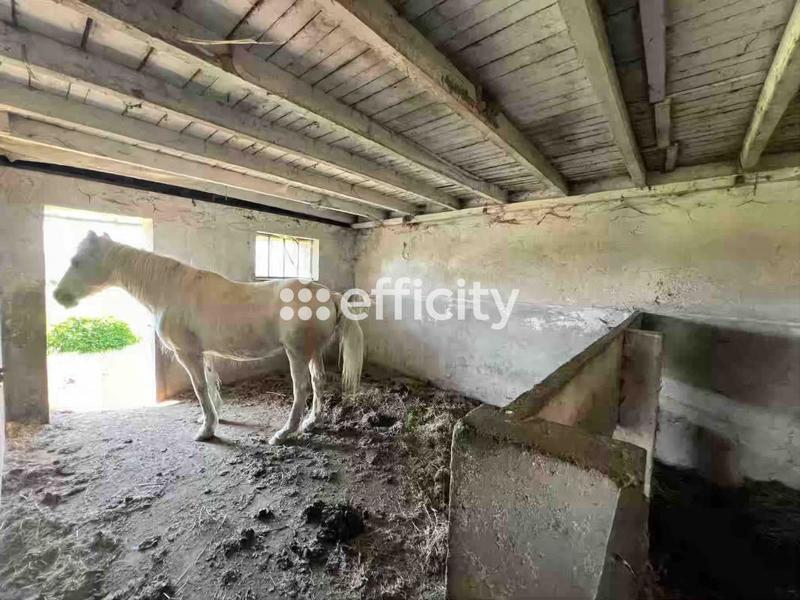 Longère - 230 m² - 6 pièces