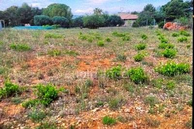 Terrain constructible - 983 m²