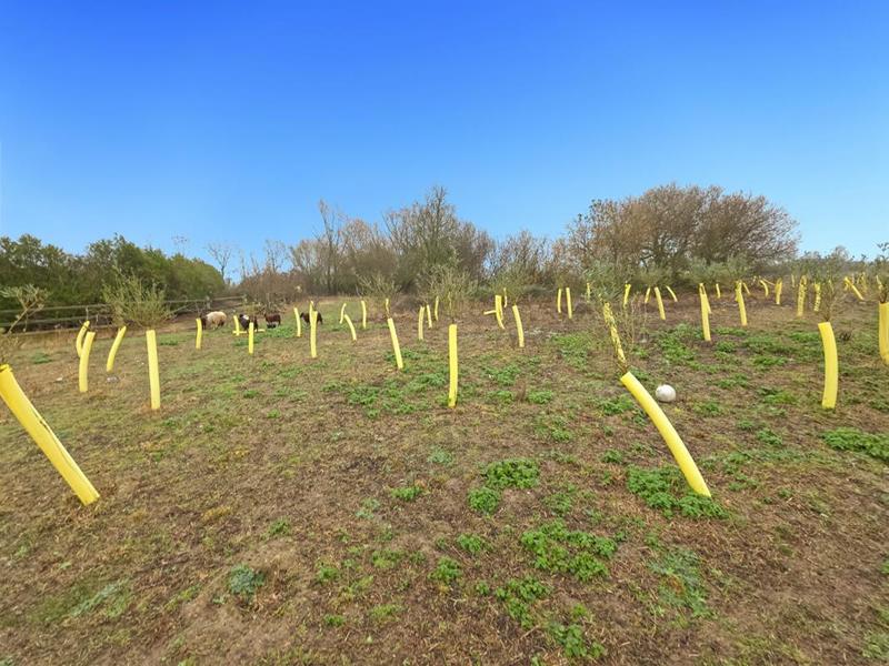 Maison - 184 m² - 7 pièces