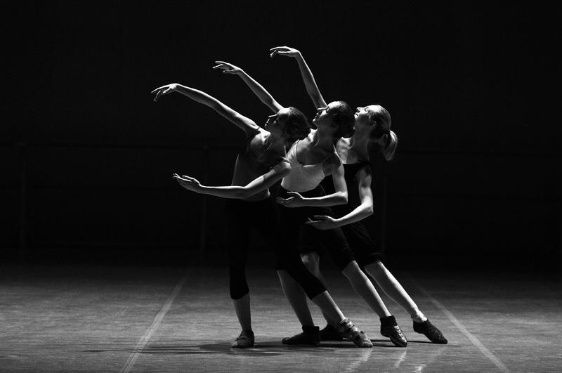 La quinzaine de la danse