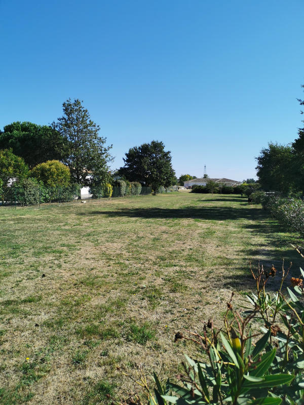 Terrain - 650 m²
