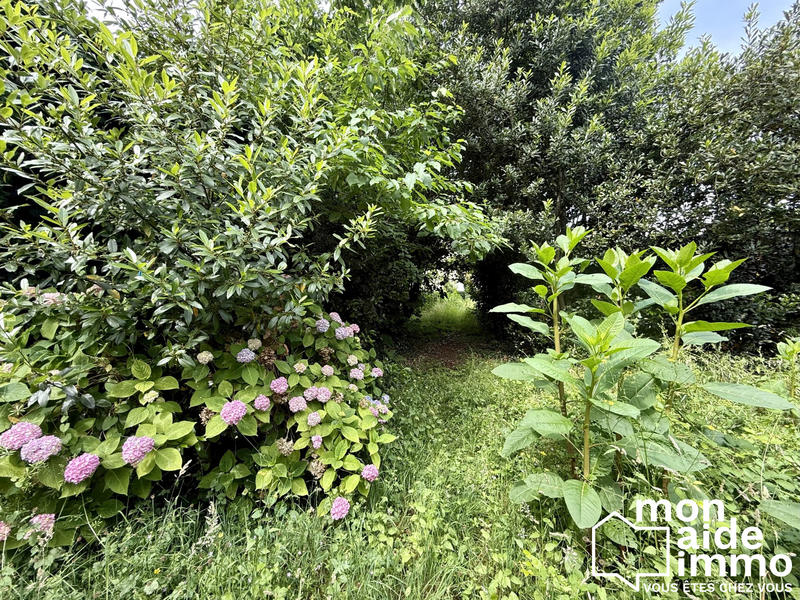 Maison - 300 m² - 12 pièces