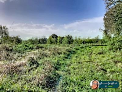 Terrain constructible - 4 350 m²