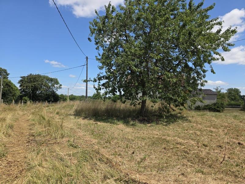 Maison - 125 m² - 7 pièces