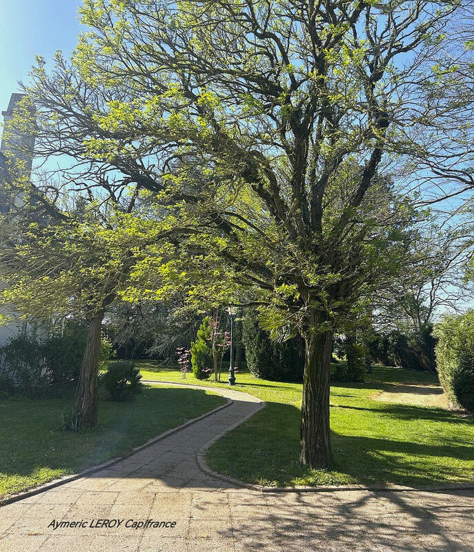 Maison - 202 m² - 8 pièces