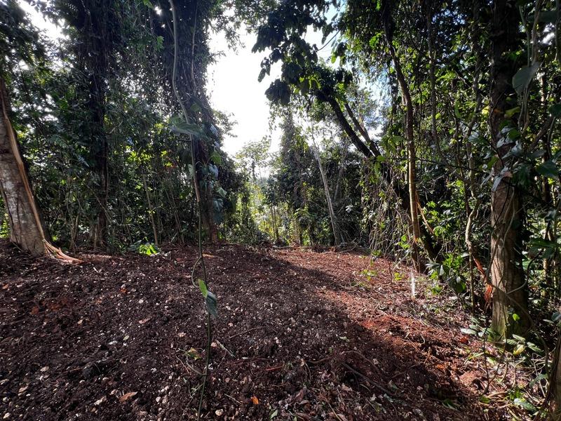 Terrain constructible - 3 882 m²