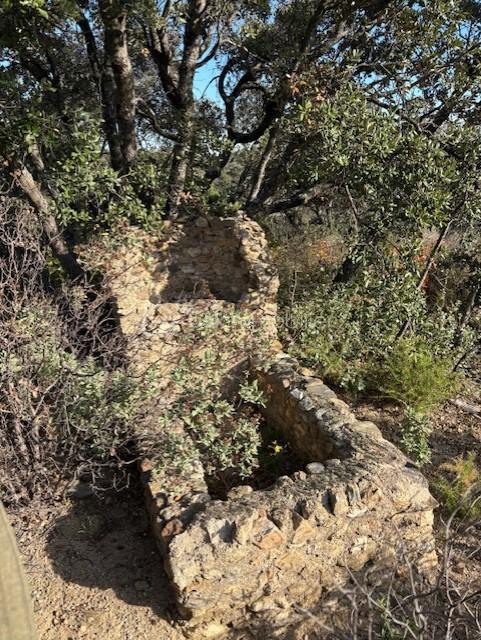 Terrain agricole - 10 160 m²