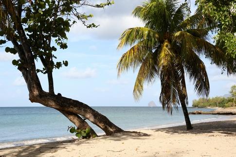 Studio - 27 m² - 1 pièce