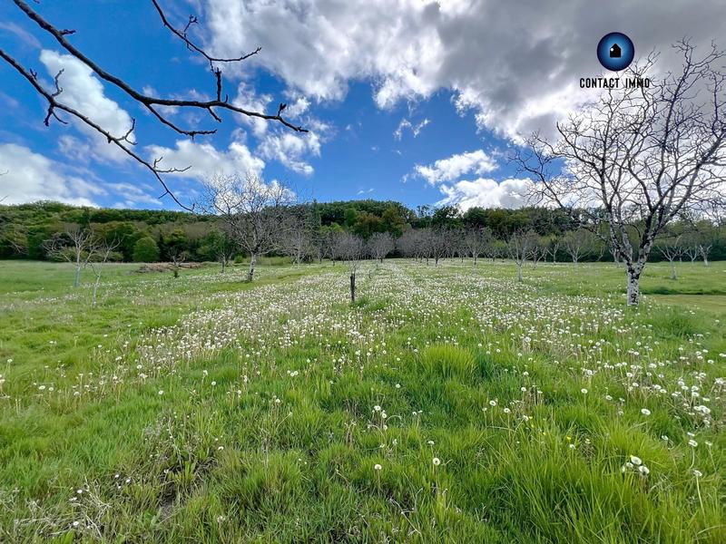 Terrain - 12 890 m²