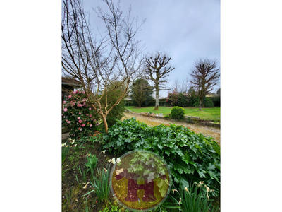 Maison - 133 m² - 6 pièces