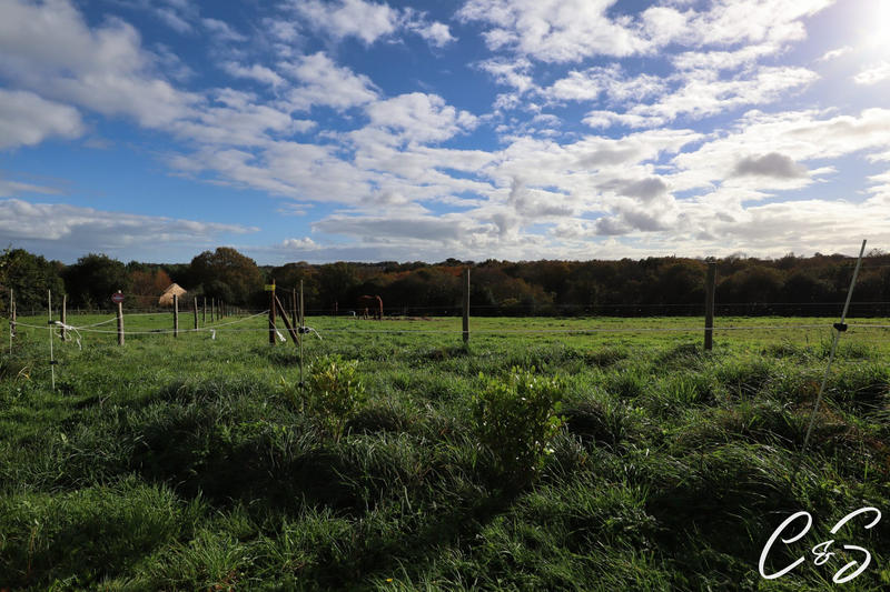 Maison - 113 m² - 5 pièces