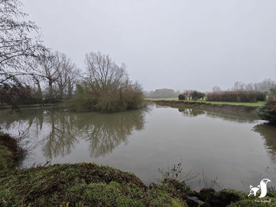 Terrain de loisirs - 13 291 m²