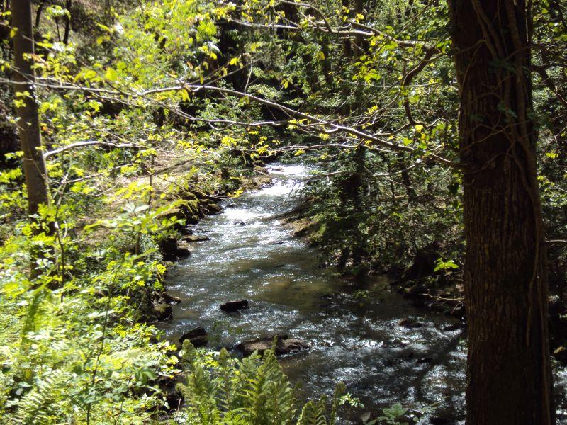 Sortie nature Cpie Pays Basque : "Les petites bêtes aquatiques"