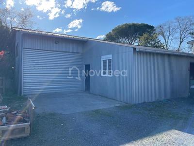 Local d'activité / Entrepôt - 250 m²