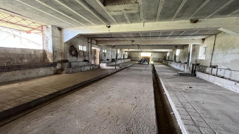 Ferme - 100 m² - 5 pièces