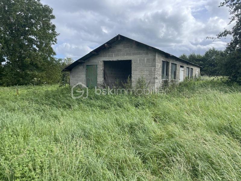 Corps de ferme - 175 m² - 6 pièces