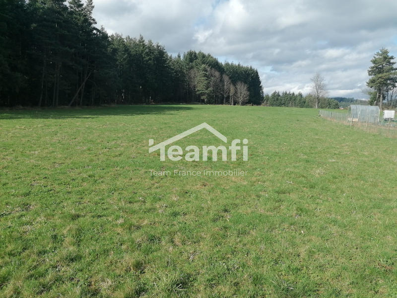 Terrain - 1 500 m²