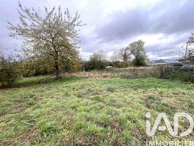 Maison - 81 m² - 3 pièces