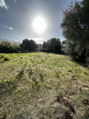 Terrain - 730 m²