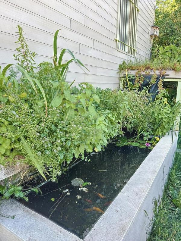 Maison bourgeoise - 139 m² - 6 pièces