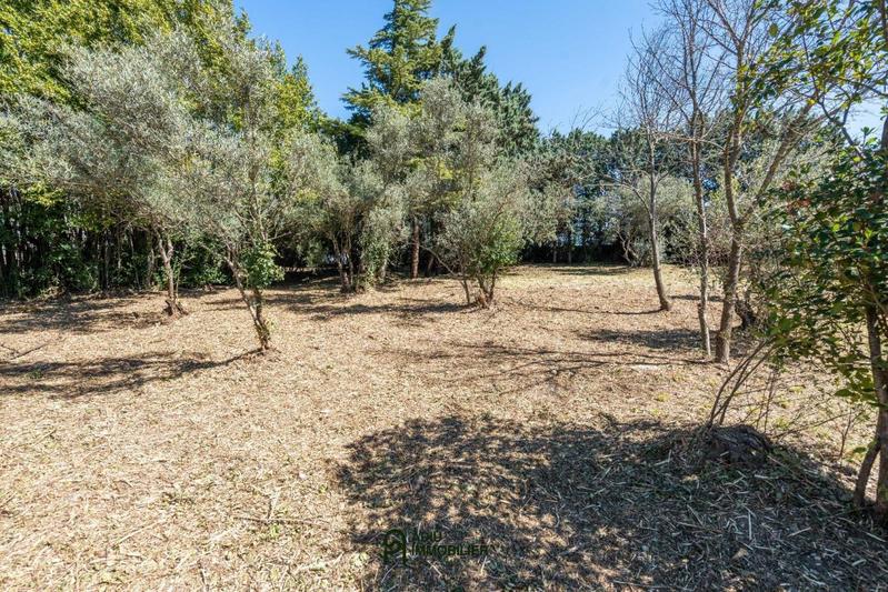 Terrain constructible - 1 336 m²