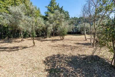 Terrain constructible - 1 336 m²