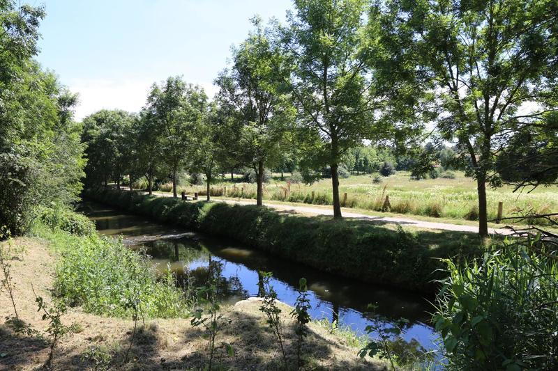 Appartement - 117 m² - 7 pièces