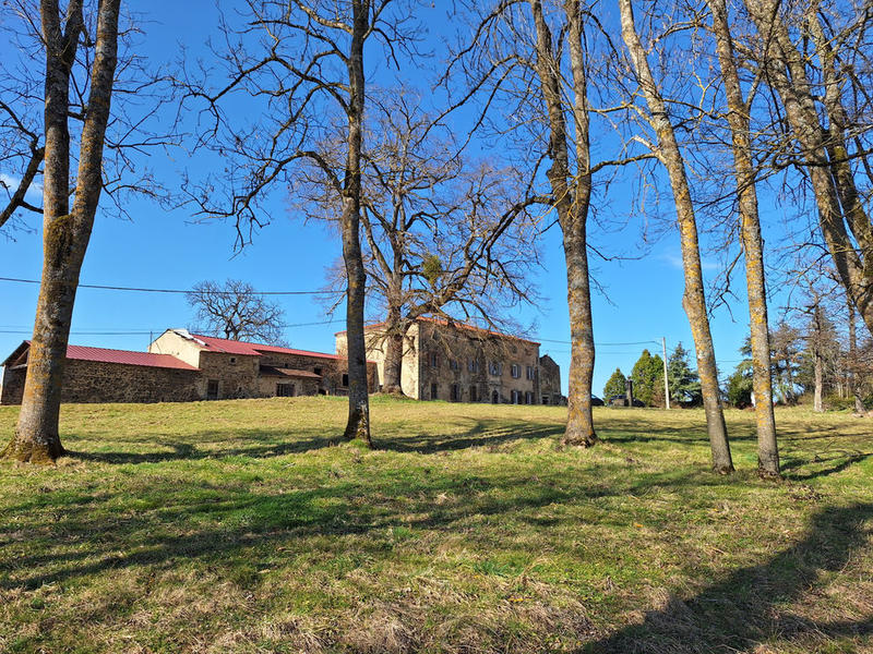 Demeure - 450 m² - 10 pièces