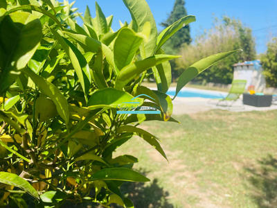 Propriété - 336 m² - 10 pièces