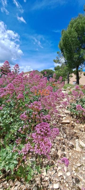 Mas - 40 m² - 3 pièces