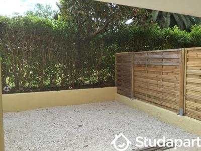 Appartement - 30 m² - 1 pièce