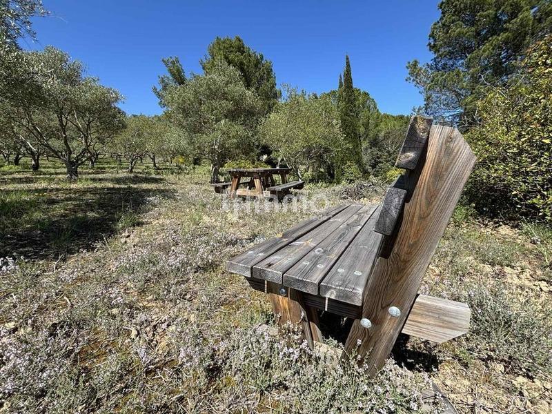 Terrain - 13 051 m²