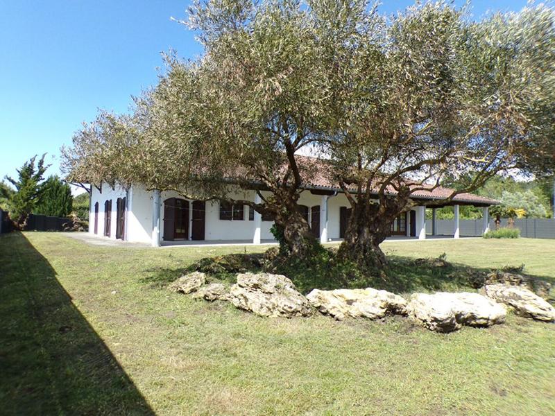 Villa - 253 m² - 6 pièces