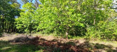 Terrain constructible - 2 975 m²