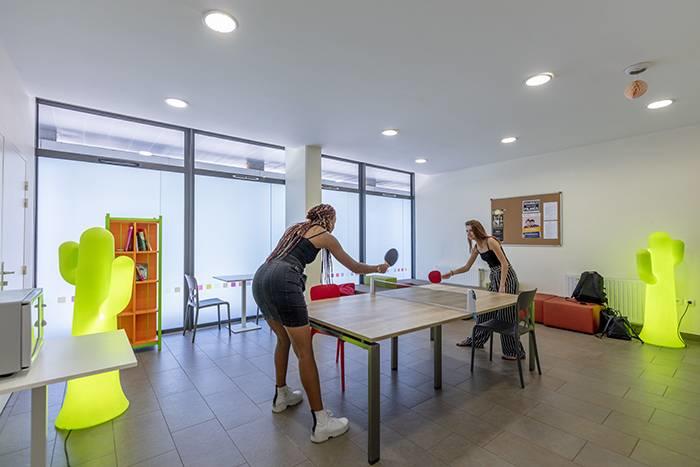 Studio - 17 m² - 1 pièce