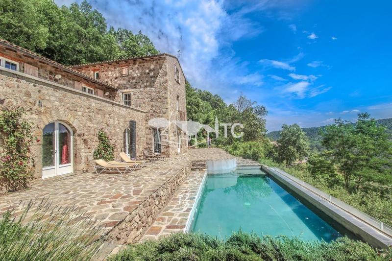 Maison en pierre - 296 m² - 7 pièces