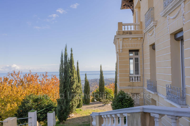 Maison de maîtres - 367 m² - 12 pièces