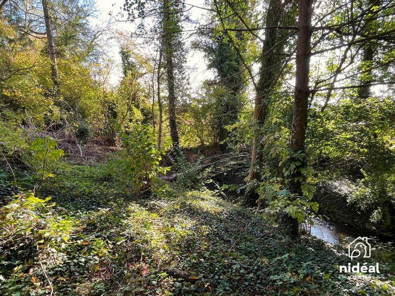 Terrain de loisirs - 6 648 m²