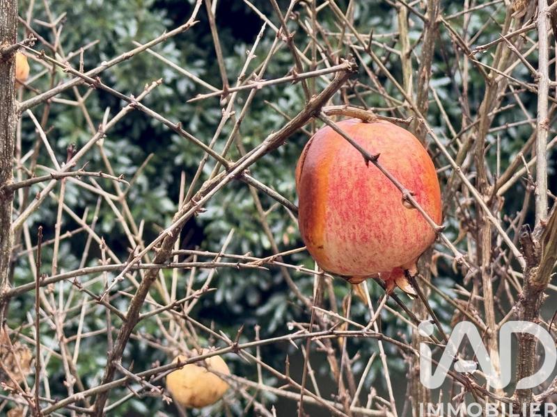 Maison de village - 208 m² - 7 pièces