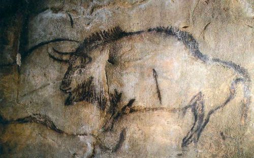 Grotte de Niaux