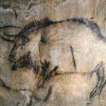 Grotte de Niaux