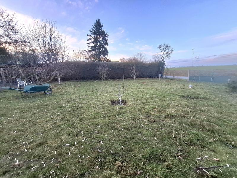 Maison - 75 m² - 3 pièces