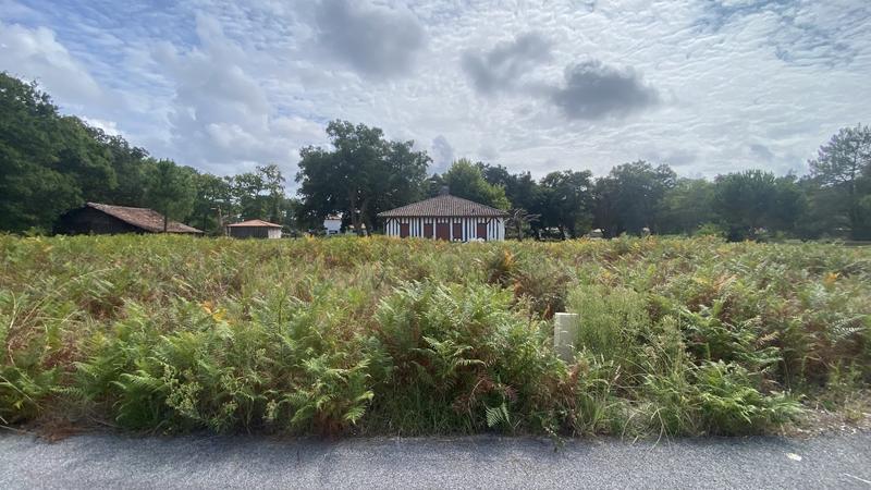 Terrain constructible - 1 350 m²