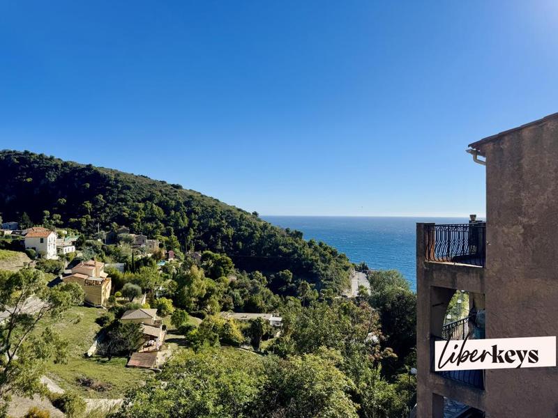 Studio - 25 m² - 1 pièce