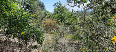 Terrain de loisirs - 17 646 m²