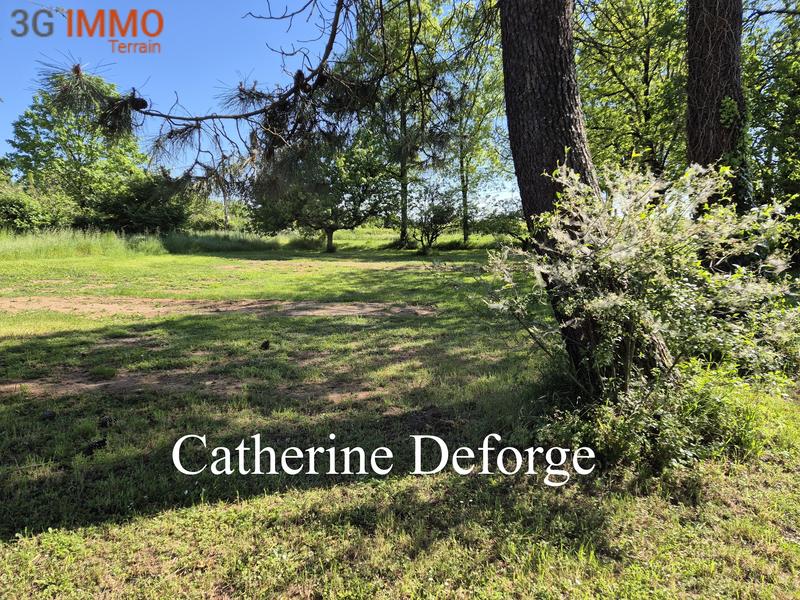 Terrain constructible - 1 360 m²