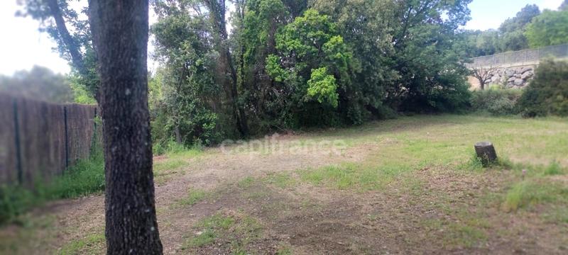 Terrain constructible - 1 038 m²